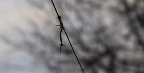 Close up of hanging piece of frayed twine