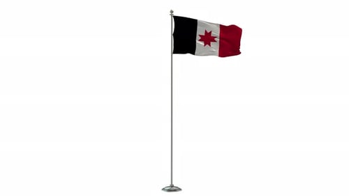 Animated Waving Flag on Pole with Black White Red Star
