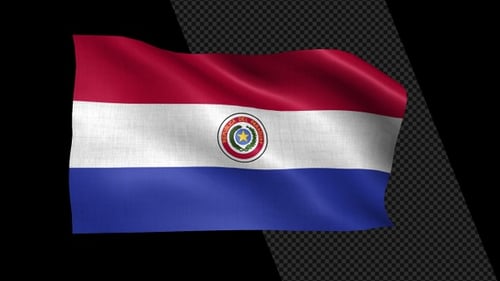 Waving Paraguay Flag with Realistic Fabric Texture