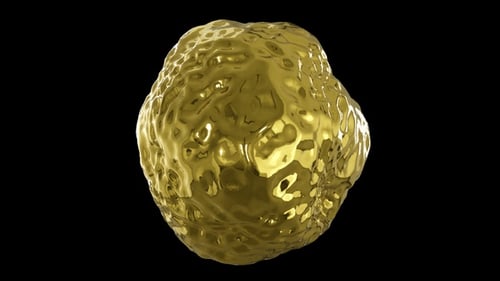 Gold Nugget V4