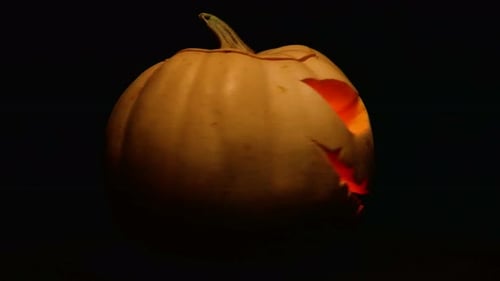 Pumpkin