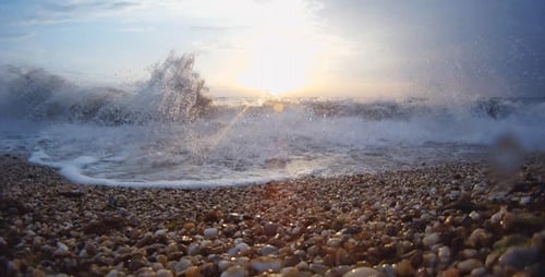 Sea sunset