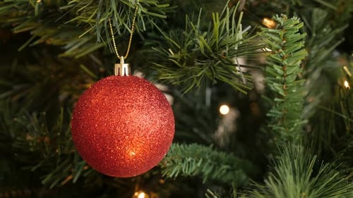 Glittery Red Christmas Bauble Hanging on Green Tree