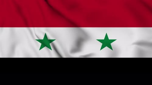 Syria National Flag Realistic Waving Loop Animation