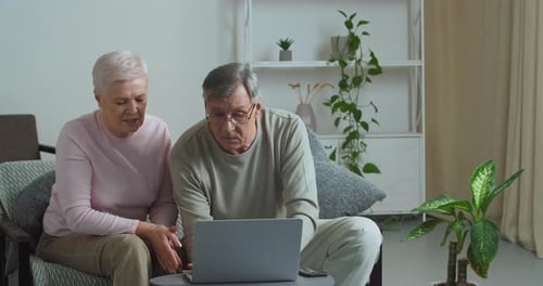 Senior Couple Using Laptop in Bright Living Room