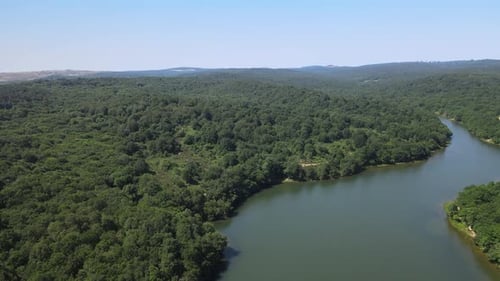 Landschaft Natur Wald Fluss