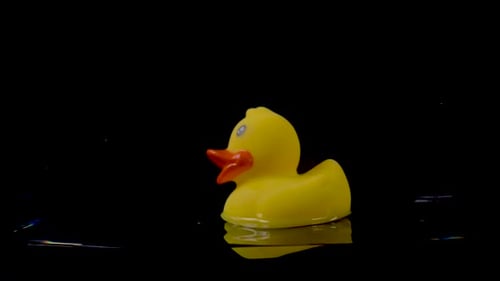 Yellow Rubber Duck Floating on Dark Water
