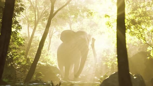 Big Elephant Looking From a Green Jungle to the Camera
