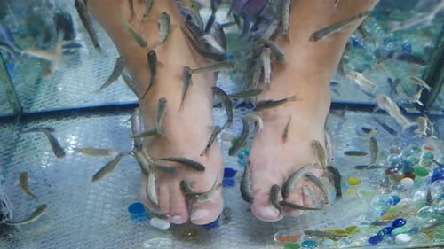 Blick von oben auf männliche Füße im Wasser mit Fischen