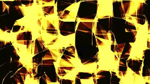 yellow patterns that reproduce