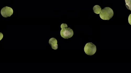 Floating Brussels Sprouts Organic Food Element