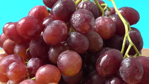Grapes 5