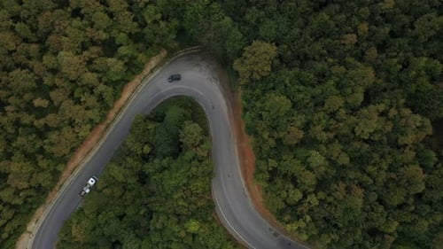 Aerial of Cars Driving Through Sunny Autumn Forest