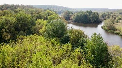 Summer nature. Amazing scenery background. River in the forest.
