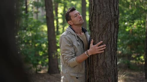 Caucasian Man Admiring Tree Trunk Standing in Sunny Spring Summer Forest