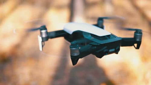 Drohne mit einer Kamera schwebt in der Luft. Fliegt im Wald über dem Boden. Zeitlupe