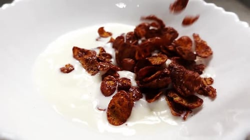 Macro View of Pouring Chocolate Cornflakes in White Bowl Full of Milk in Slow Motion