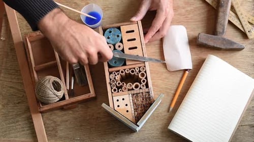 Bug hotel making