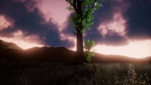 Aerial Green Hills Landscape in Fog