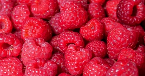 Close Up Rotation Loopable Raspberry. Fresh, Juicy Raspberry Background, Ripe. Macro Red Raspberries