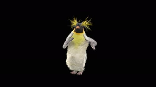 Penguin Dancing 4K