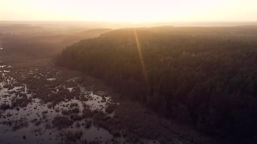 Wild Swamp And Forest On Sunset
