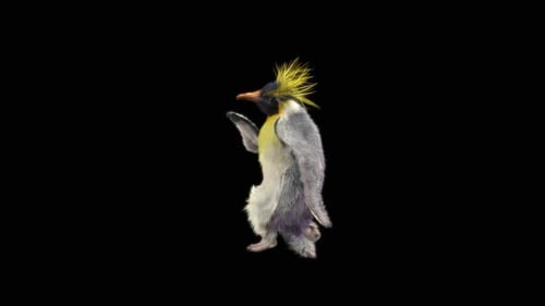 Penguin Dancing HD