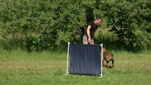 Dog Jumping Exercise.