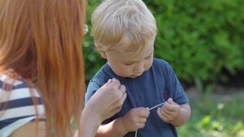 Blonde Child and Adult Examine Grass Outdoors