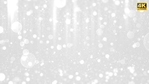 Elegant White Sparkling Particles Clean Background Loop
