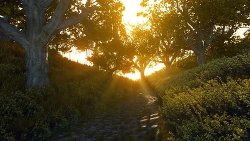 Path In Natural Park With Autumn Trees