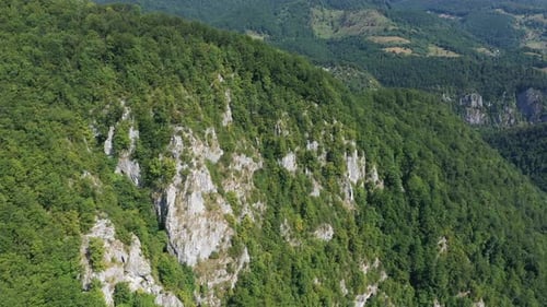 Flying Above Limestone Cliffs and Deciduous Forest. Aerial View