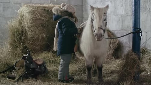 Girl Taking Care of Shetland Pony