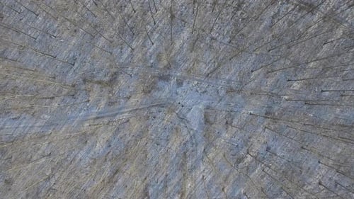 Aerial Winter Forest Top Down Descending Shot