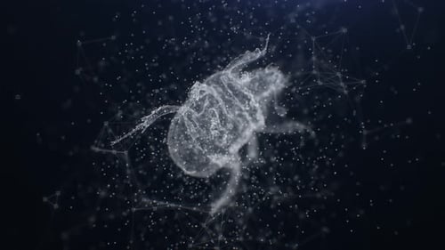 4K Plexus Bug