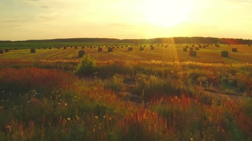 Ruhiger Flug über ländliche Landschaft, Feldwiese mit Heuballen an einem sonnigen Abend im Spätsommer