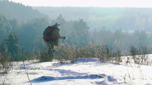 Male Tourist Hiking in Winter Forest