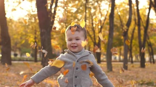 Smiling Boy Playing with Fallen Leaves in Autumn