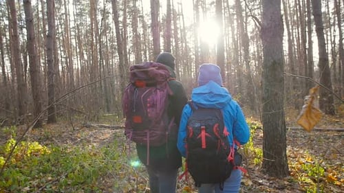 Hiking and Backpacking Concept. Young Couple of Travelers Walking in Forest in Autumn Day