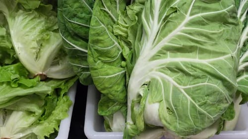 Karotten, Rüben und Kohl