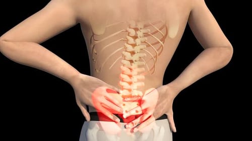 3D Human Back Pain Animation with Spine Anatomy Reveal