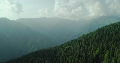 Luftaufnahme des unberührten grünen Berges im Sommer