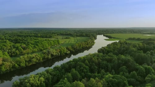Aerial View of a Beautiful River Landscape in a Green Forest at Sunset