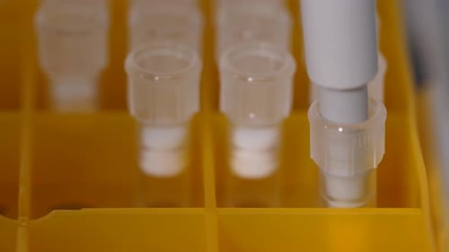 Pipette Dispensing Fluid into Test Tube