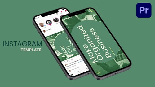 Business Instagram Posts and Stories Promo Mogrt
