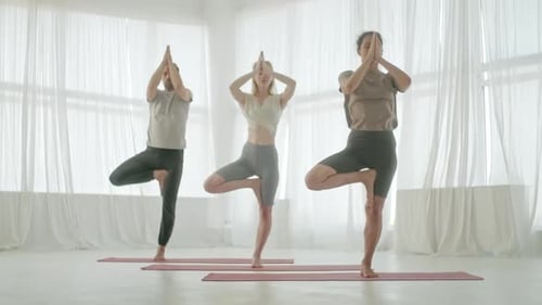 Adults Practice Tree Pose in Yoga Studio