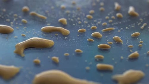 Viscous Liquid Drops on Blue Surface