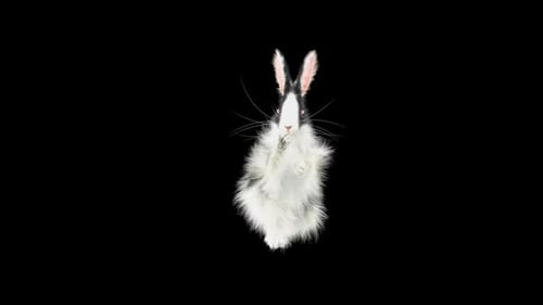 Hase: Tanzen HD