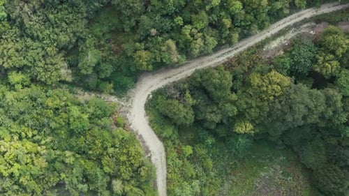 Beautiful Flight on a Drone Over the Road That Lies Through the Mountains
