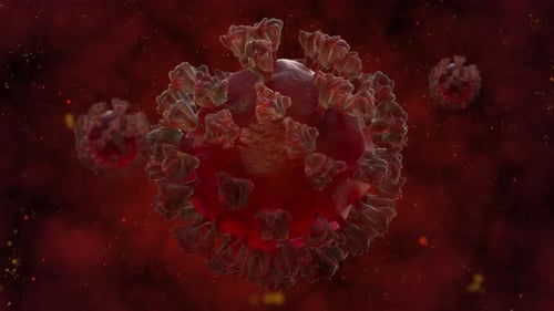 COVID-19-Virus